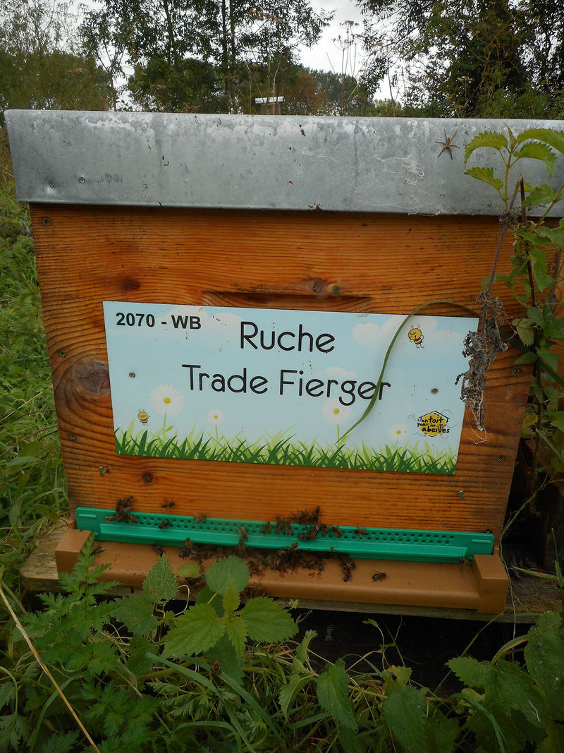 La ruche Trade Fierger